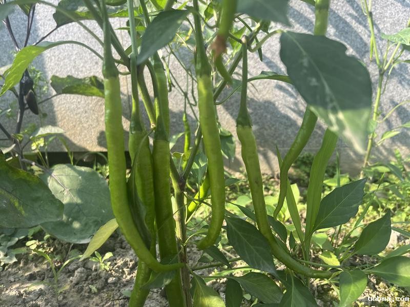 微信图片_20240626105133