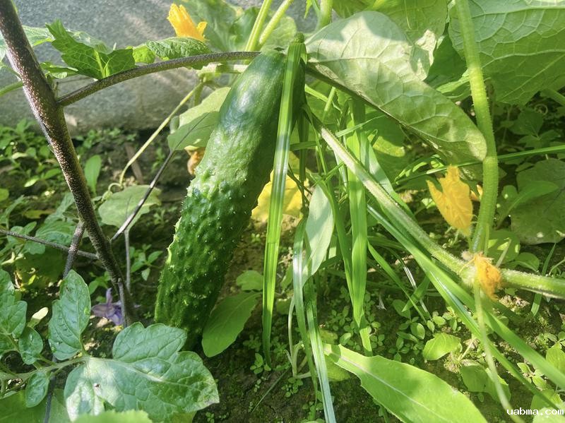 微信图片_20240626105349