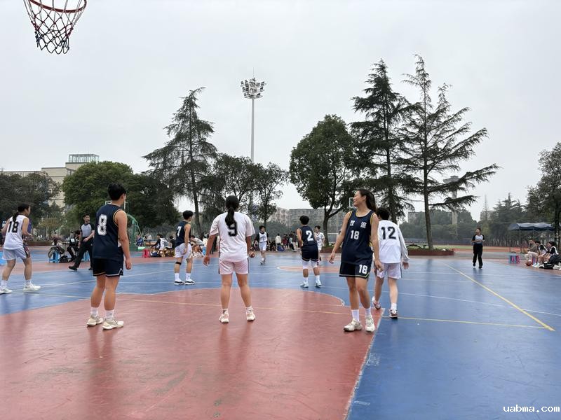 efa019803ca6e46a30cc4cc8382388c8